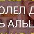6 МОЩНЫХ ПРИВЫЧЕК УКРЕПЛЯЮЩИХ ПАМЯТЬ В ПОЖИЛОМ ВОЗРАСТЕ