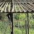 Thanh And His Friend Secretly Built A House For A Poor Girl Without Her Knowing