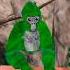 BEST JUKE EVER Gorillatag Metaverse Oculus Virtualreality Gaming