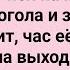 Теща и Зять на Море Сборник Свежих Смешных Жизненных Анекдотов