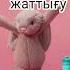 Әр күніміз жаңа күні жақсылары Shorts ұбт мотивация өзіңді тану Bunny