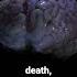 Your Brain Still Works After Death