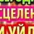 УСПЕЙ ЗАБУДЕШЬ ПРО БОЛЕЗНИ Сильная молитва Луке Крымскому о исцелении здравии Акафист