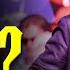 TRUMP ASSASSINATION IN BUTLER NEW FOOTAGE DROPS LETS LOOK BUT WHY NOW EXACTLY