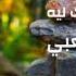 انت بتوجع قلبي يا حبيبي انا مش قادر