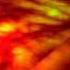 Daniel Lopes I Love You More Than Yesterday Wmv