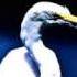 FAITH NO MORE EASY Like Sunday Morning HQ