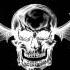Avenged Sevenfold Unholy Confessions Guitar Backing Track With Vocals And Harmony Guitar Parts