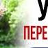 Урок 11 Перехват за спиной 3 варианта Фланкировка Казачья шашка