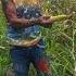 Farmer Sanggi Og Mais Harvest Time Thankyoulord Hardworkworks Supportfarmer Buhaybukid