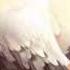 Nightcore Million Tears HD