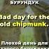 Английские слова и фразы от Лупитон Chipmunk Бурундук Shorts