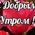 Релакс Поле Красивых Цветов С Добрым Утром Музыкальная Открытка Relax Spring Music Shorts