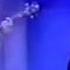 Scorpions Veter Peremen Wind Of Change Live In Moscow 1997
