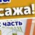 Список запрещенных масел для массажа Массаж с маслом Часть 2