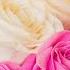 Listen To This Music You Will Feel Better Heals The Soul And Good For The Heart Sergey Grischuk 15