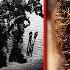 Things You Didn T Know About The Challenger Disaster That Will Blow Your Mind