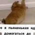Немного промахнулась