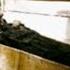 Tomb Of Alexander The Great How They Found It How They Did Not Know