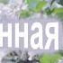 Женщина дарованная небом А Степанян Cover от гр Восток