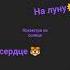 подпишись и лайк поставь не забудь