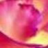 Esena Mono Wmv