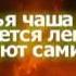Шейх читает коран и плачет СубханАллах