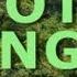 EXOTIC DEEP JUNGLE SOUND AMBIENCE FOR RELAXATION MEDITATION MEXICO