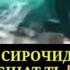 Эшони сирочиддин