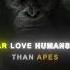 More Than Your Sons Planet Of The Apes Edit Azraelify Ninth Circle Of Hell Shorts