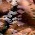 Sadriddin Golnar HD 2013 Afghan New Songs 2013 S