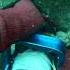 Terrifying Sea Creature Caught On Camera Fyp Thalassophobia Horror