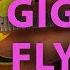 Best Gig Bag For Flying