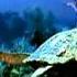 Blue Title Song Remix Blue Akshaye Kumar