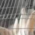 Новый Крольчатник 8 Неудача с тросом New Rabbitries 8 Failure With The Cable