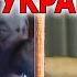 ПОСЛЕДНИЙ ШАНС ДЛЯ УКРАИНЫ