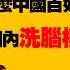 翟山鹰 国内洗脑模式过于专业 为什么逻辑学如此重要 为什么中国百姓感觉一片祥和