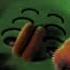 ZooPals In Caught A Cold