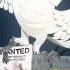 Angry Birds Rio Trailer 20th Century FOX