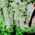 Syringe Sybyr NOMADS Music Video