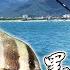 岸拋 地方爸爸的放風時間 竟然遇到黑巴鯧 燕魚 大咬 花蓮東堤 磯釣組拉到嫑嫑的 2023 07 15 07 16