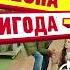 ЧЕСНА ВИГОДА в Епіцентрі