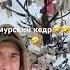 местная флора путишествие дальний восток перегон владивостокмосква