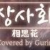 안예은 역적 백성을 훔친 도적OST 상사화 相思花 COVER By Guriri