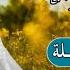 تلاوة لا توصف للشيخ عبدالرحمن مسعد سورة الواقعة كاملة