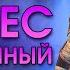 Нарсес Бездыханный обзор героя RAID Shadow Legends