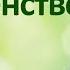 Блаженство Гель для интимной гигиены