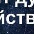 Хватит думать Действуй сейчас начинай сейчас Вадим Зеланд