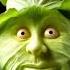 Live Cabbage Short Video Animation