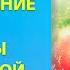 Новогоднее поздравление от Татьяны Самариной